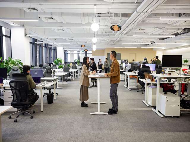 湖北绿茶猫砂制造商