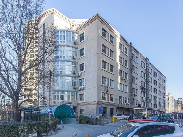 江苏大型蹦床供应